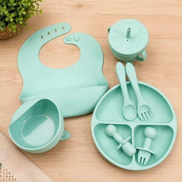 BPA Free Baby Silicone Feeding Set 8pcs – Paste